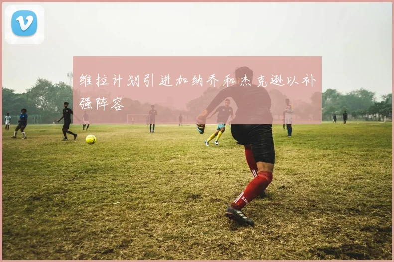 维拉计划引进加纳乔和杰克逊以补强阵容