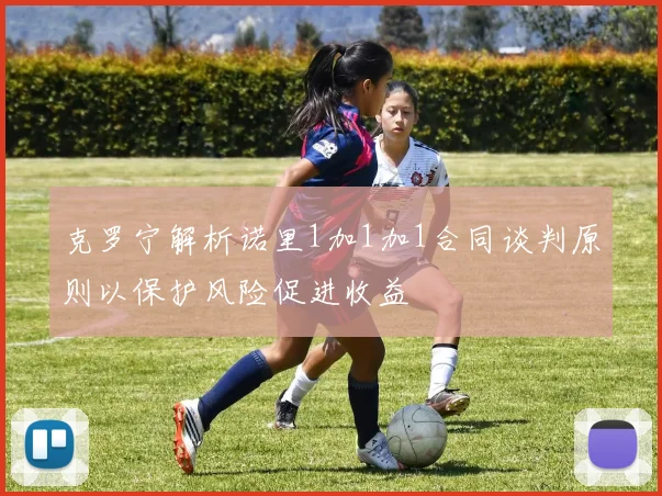 克罗宁解析诺里1加1加1合同谈判原则以保护风险促进收益